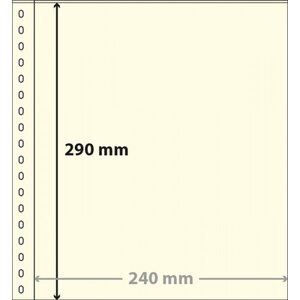 Insert sheets, incl. Background sheet (White) - 1 compartment(s): 240 x 290 mm - Transparent - 18 Rings