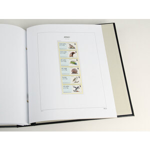 Supplement year: 2022 - Jersey (Post & Go) - type: DeLuxe - Zwart, N°: PG10- (1 pc.) - Davo (2 Holes)