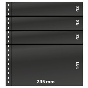 Insert sheets - 4 compartment(s): 245 x 31/31/31/141 mm - Omnia (081P) - Black - 18 Rings