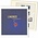 Supplement year: 2023 - U.N.O. New York - Sheets for basic album, nr's: 216 t/m 220 (5 pcs.) - Lindner,  preprint sheets (champagne colored)