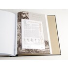 Supplement year: 2013 - Belgium - type: DeLuxe - sheets for Community issues, N°:  -Spanje (3 pcs.) - Davo (2 Holes)