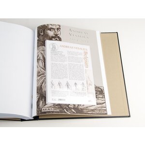 Supplement jaar: 2013 - België - type: DeLuxe - bladen voor Gemeensschappelijke uitgiftes, N°:  -Spanje (3 st.) - Davo (2 Gats)