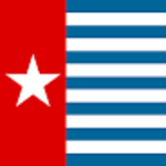 PAPUA - Albums with/without sheets, Supplements, Individual sheets, etc.