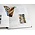 Supplement year: 2024 - Netherlands - sheets for Illustrated Collecting Mini-sheets, nr's: 2024/3.1-2024/3.3 (3 pcs.) - Davo, DeLuxe preprint sheets