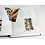 Supplement year: 2024 - Netherlands - type: DeLuxe - sheets for Illustrated Collecting Mini-sheets, N°: 2024/3.1-2024/3.3 (3 pcs.) - Davo (2 Holes)