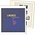 Supplement year: 1999 - Netherlands, type: Z - sheets for Joint-prints (cohesive stamps), nr's: 23-26 (4 pcs.) - Lindner, T preprint sheets (champagne colored)