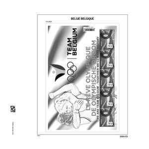 Supplement jaar: 2024 - België - type: DeLuxe - bladen voor Velletjes (1d), N°: 2024-V1-V6 (6 st.) - Davo (2 Gats)