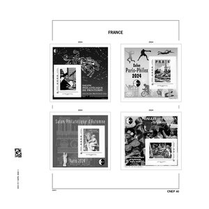 Supplément année: 2024 - France - feuille pour C.N.E.P. Blocs, nr: CNEP.40 - Davo, DeLuxe Feuilles pré-imprimées