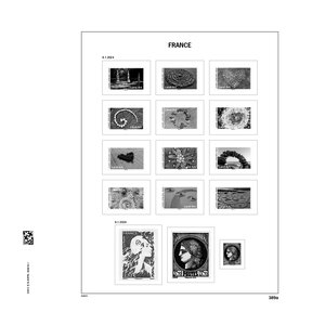 Supplement jaar: 2024 - Frankrijk - type: DeLuxe - bladen voor Zegels uit Blokken, N°: 389a-389n (14 st.) - Davo (2 Gats)
