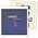 Supplement year: 2024 - Switzerland - sheets for Basic album, nr's: 243-250 (8 pcs.) - Lindner, T preprint sheets (champagne colored)