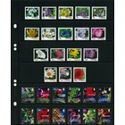 Einsteckblätter - 6 er Einteilung: 190 x 36 mm - Multi Collect (1316) - Schwarz - 4 Ringe ■ pro 10 Stück