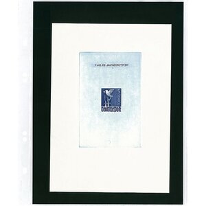 Insteekbladen, incl. Inlegvel (Zwart) - 1 vaks indeling: 185 x 250 mm - Multi Collect (1405) -  - Transparant - 4 Rings