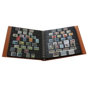 Album Rondo Compact (S1406), incl. cassette en zonder bladen - Groen - 4 Rings - Afm: 235 x 270 x 40 mm