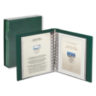 Album Classic (1103Y), inkl. 20 Klarsicht Blätter (819) und Schutzkassette - Grün - 13 Ringe - Abm: 200 x 235 x 40 mm ■ pro Satz