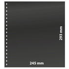 Einsteckblätter - 1 er Einteilung: 245 x 293 mm - Omnia (01) - Schwarz - 18 Ringe ■ pro Stück