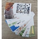 NVPH - E  744-761, FDC year set, Issued in the year:  2017, Blank (UA)