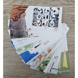 F.D.C. set N.V.P.H.  Jaar 2017