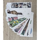 NVPH - E  780-796, FDC-jaarset, Uitgegeven in het jaar:  2019, Blanco (UA)