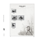 Supplement year: 2025 - Belgium - type: DeLuxe - sheets for Buzin stamps, N°: 20-21 (1 pcs.) - Davo (2 Holes)