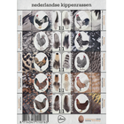 NVPH -  3488-3497, Velletjes (Nederland), Uitgegeven in het jaar:  2017, Postfris (MNH)