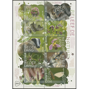 NVPH -  4029-4038, Sheetlets (Netherlands), Issued in the year:  2022, Mint Not Hinghed (MNH)