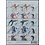 NVPH -  2664-2668, Sheetlets (Netherlands), Issued in the year:  2009, Mint Not Hinghed (MNH)