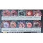 NVPH -  2540-2549.½, Feuillets (Pays-Bas), Émis de l'année:  2007, Neuf sans Charnière (MNH)