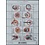 NVPH -  3620-3629, Kleinbögen (Niederlande), Ausgegeben im Jahr:  2018, Postfrisch (MNH)