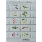 NVPH -  3525-3534, Velletjes (Nederland), Uitgegeven in het jaar:  2017, Postfris (MNH)