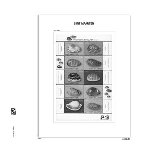 Supplément année: 2025 - Saint-Martin - type: DeLuxe - feuilles pour Album de base, N°: 2025 B1-4 (4  pcs.) - Davo (2 Trous)