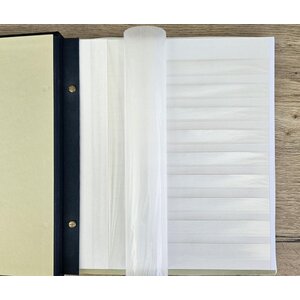 Feuilles à bandes pour timbres – Uni – 9 compartiments – universel pour Davo, Importa (2 anneaux), 4 anneaux et Leuchtturm (13 anneaux, barre rotative) ■ à l’unité
