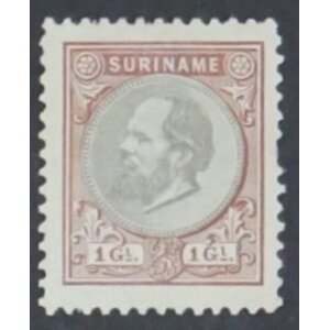 NVPH -    14, Postage stamp (Suriname), Issued in the years:  1873-1889, Mint Hinghed (MH)