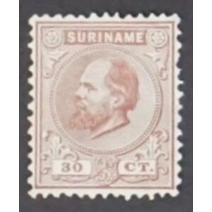 NVPH -    11, Postzegel (Suriname), Uitgegeven in de jaren:  1873-1889, Ongebruikt (MH)
