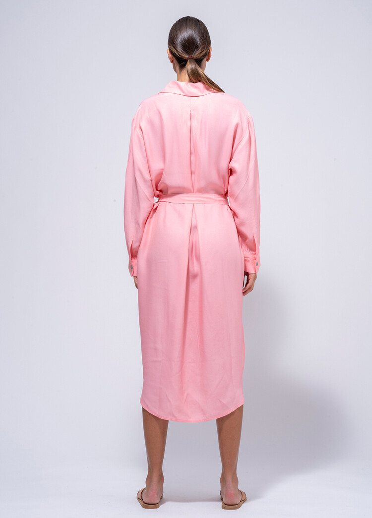 Dutchess Coogee dress - pink