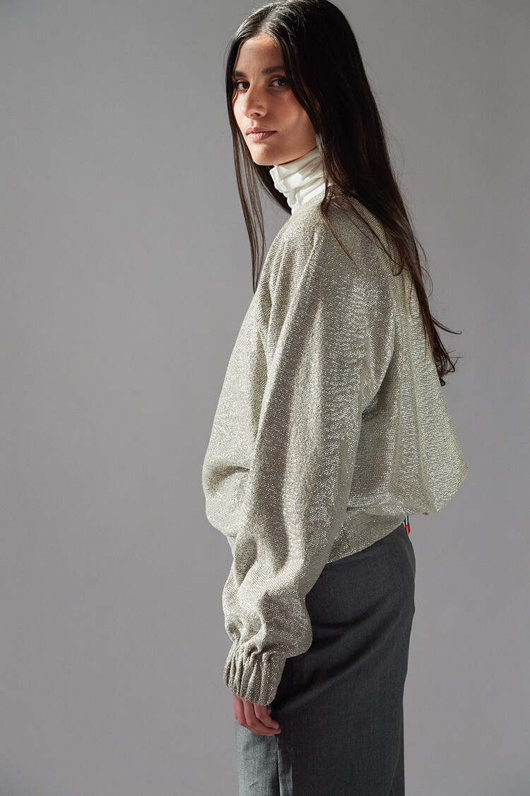 Dutchess Dunkin sweater  - zilver