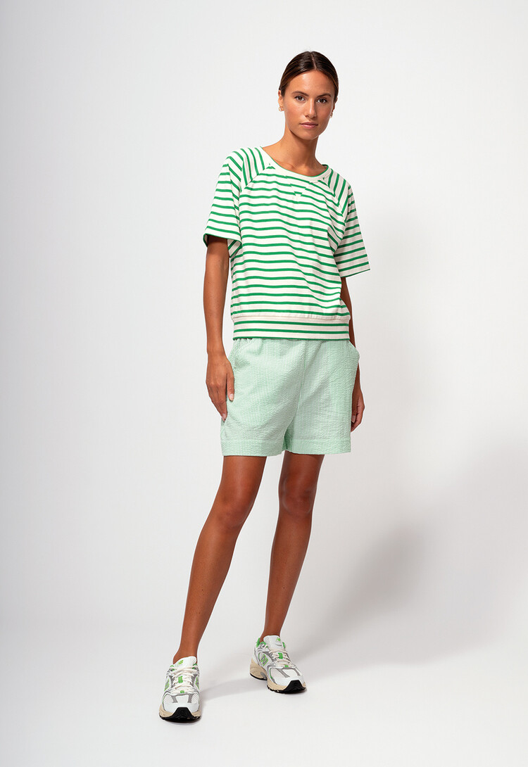 Dutchess Chanel sweater - groen gestreept