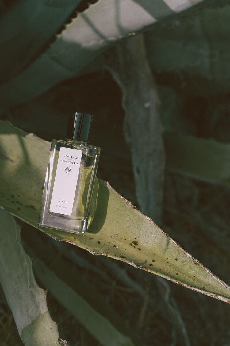 Centrale Perfumeria Eau de Parfum 60ml