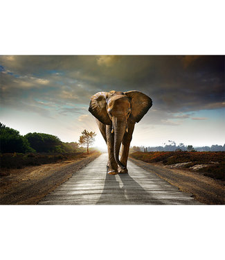 Sweet Living Schilderij Walking Elephant