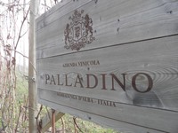 Palladino