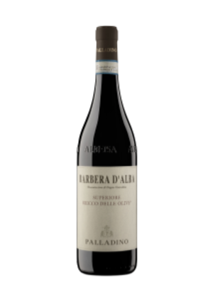 Palladino Barbera d'Alba Superiore DOC Bricco delle Olive 2021