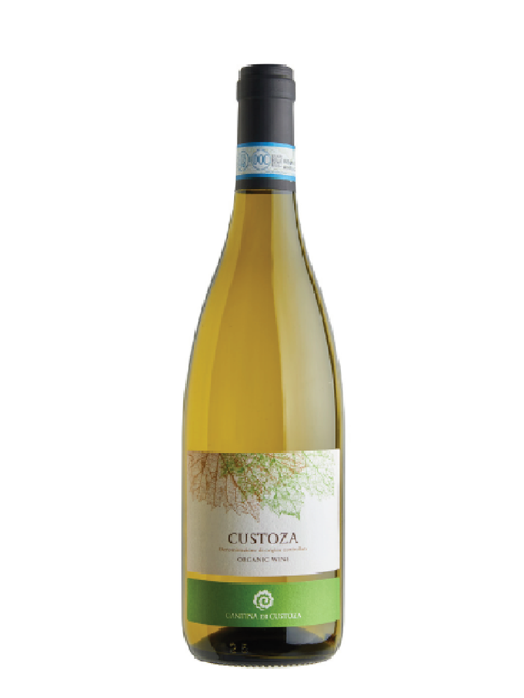 Cantine di Custoza Bianco di Custoza DOC 2023