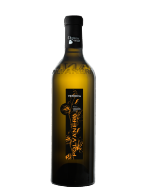 Cantine Polvanera Puglia Verdeca IGT 2024