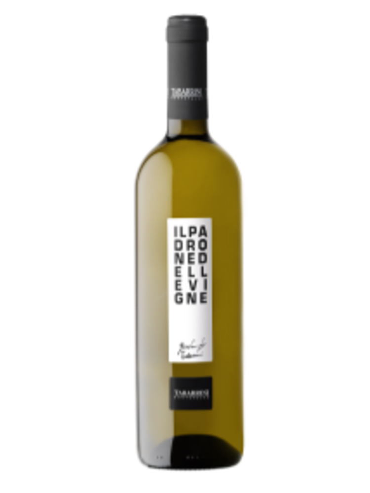 Tabarrini Umbria Bianco Padrone delle Vigne 2024