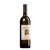 Campania Fiano IGT 2022