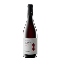 Lacrima di Morro d 'Alba DOC 2024