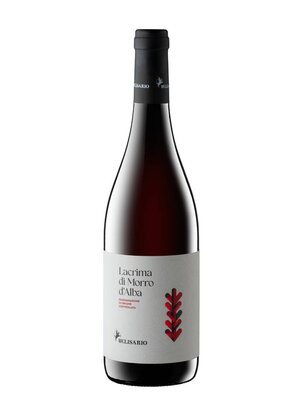 Belisario Lacrima di Morro d 'Alba DOC 2024