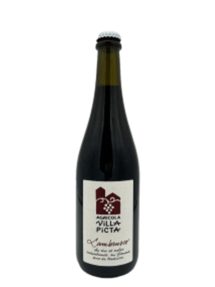Villa Picta Lambrusco Villa Picta 2022