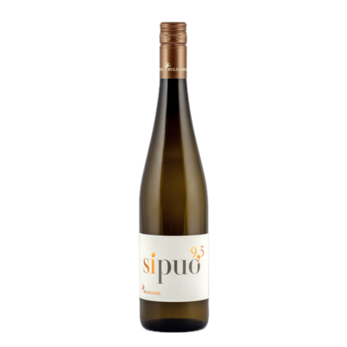 Belisario Vino Bianco Italiano Sipuo 9,5 2024 Belisario Vino Bianco Italiano Sipuo 9,5 2024