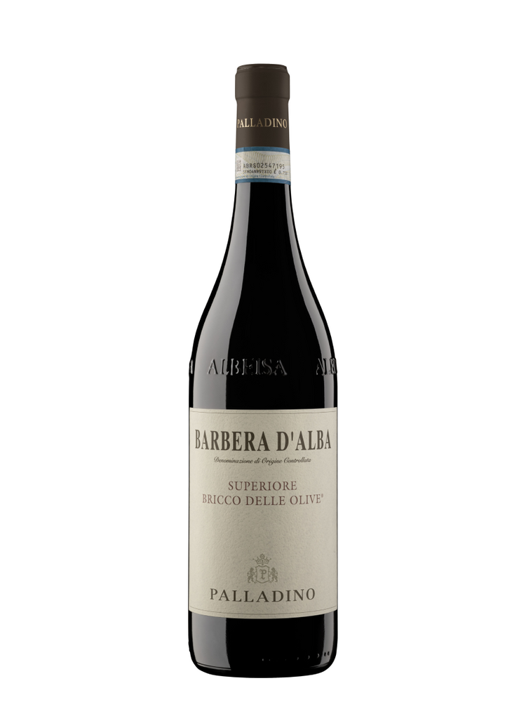 Palladino Barbera d'Alba Superiore Bricco delle Olive DOC 2023 MGN