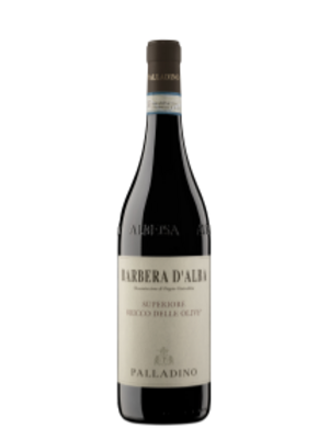 Palladino Barbera d'Alba Superiore DOC Bricco delle Olive 2023 MGN